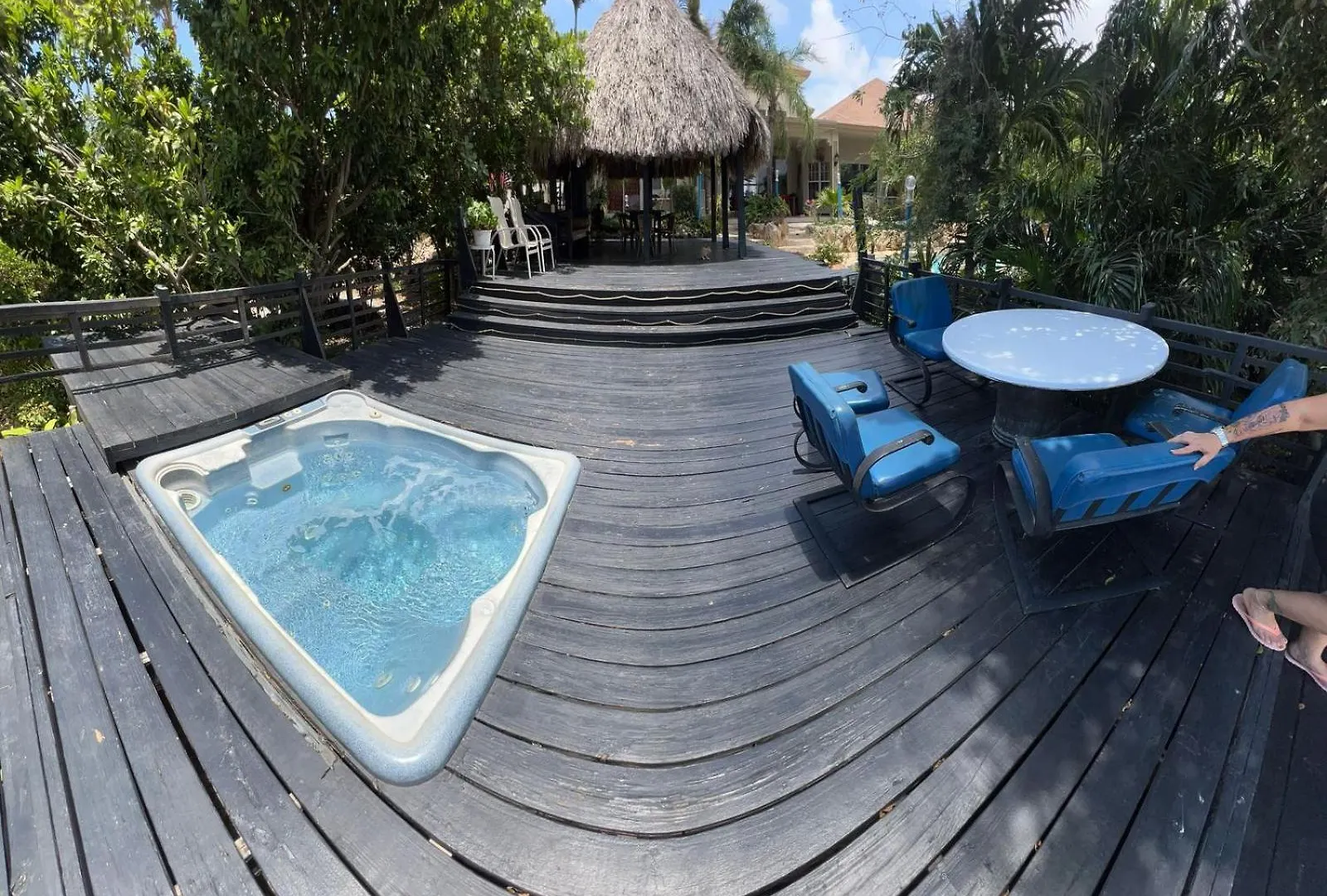 Hospedaje, Aruba , Turismocolombia-Fit Palm Beach Holiday home
