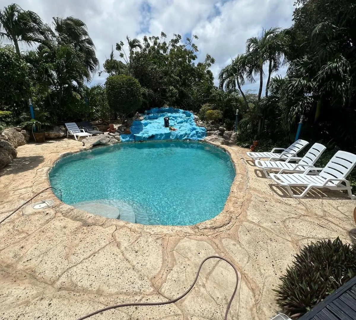 Hospedaje, Aruba , Turismocolombia-Fit Palm Beach
